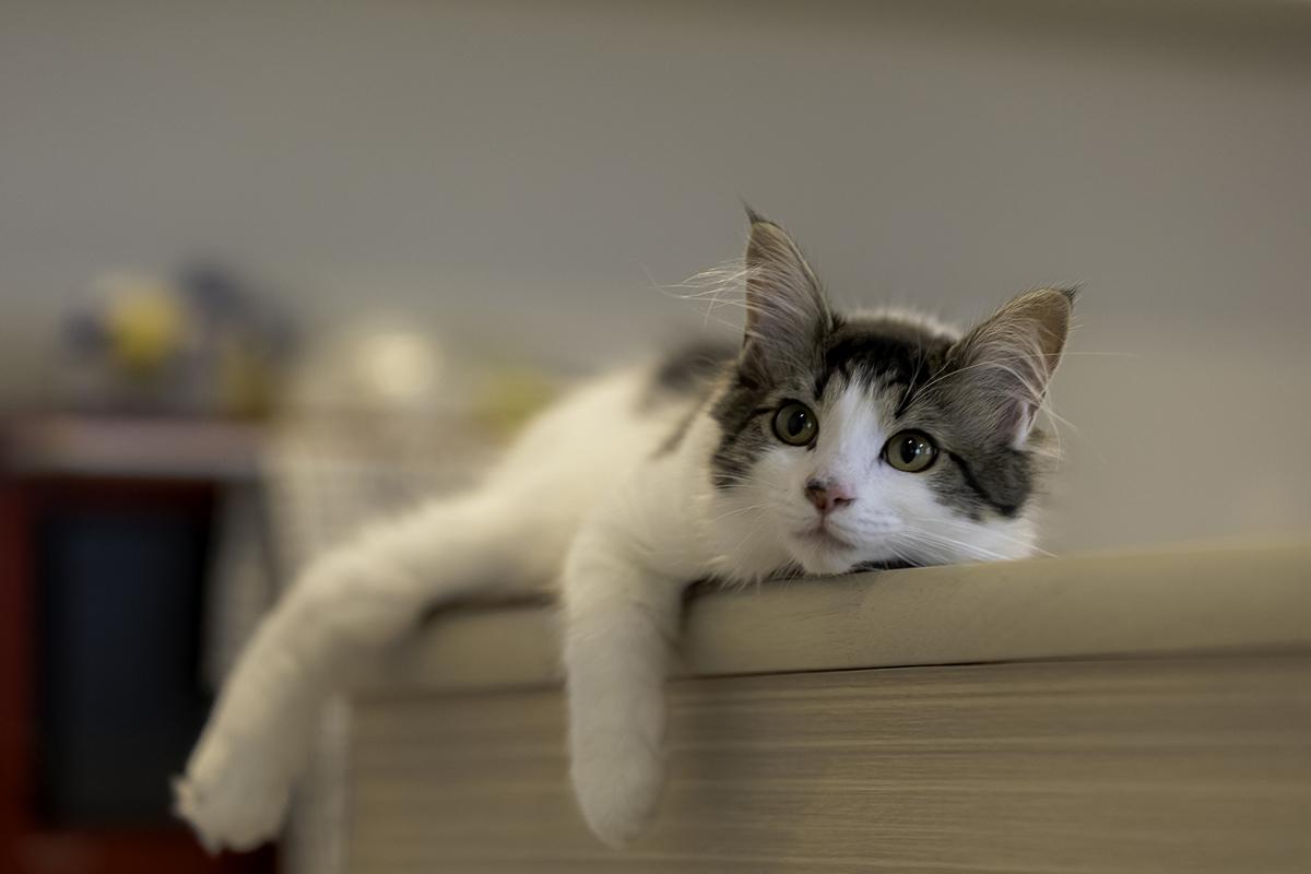 ずぼらに生きるために必要不可欠なこと ずぼらに生きるために必要不可欠なこと